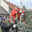Rozsvěcení vánočního stromu
